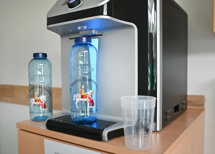 Gaestehaus St. Martin Ulmen